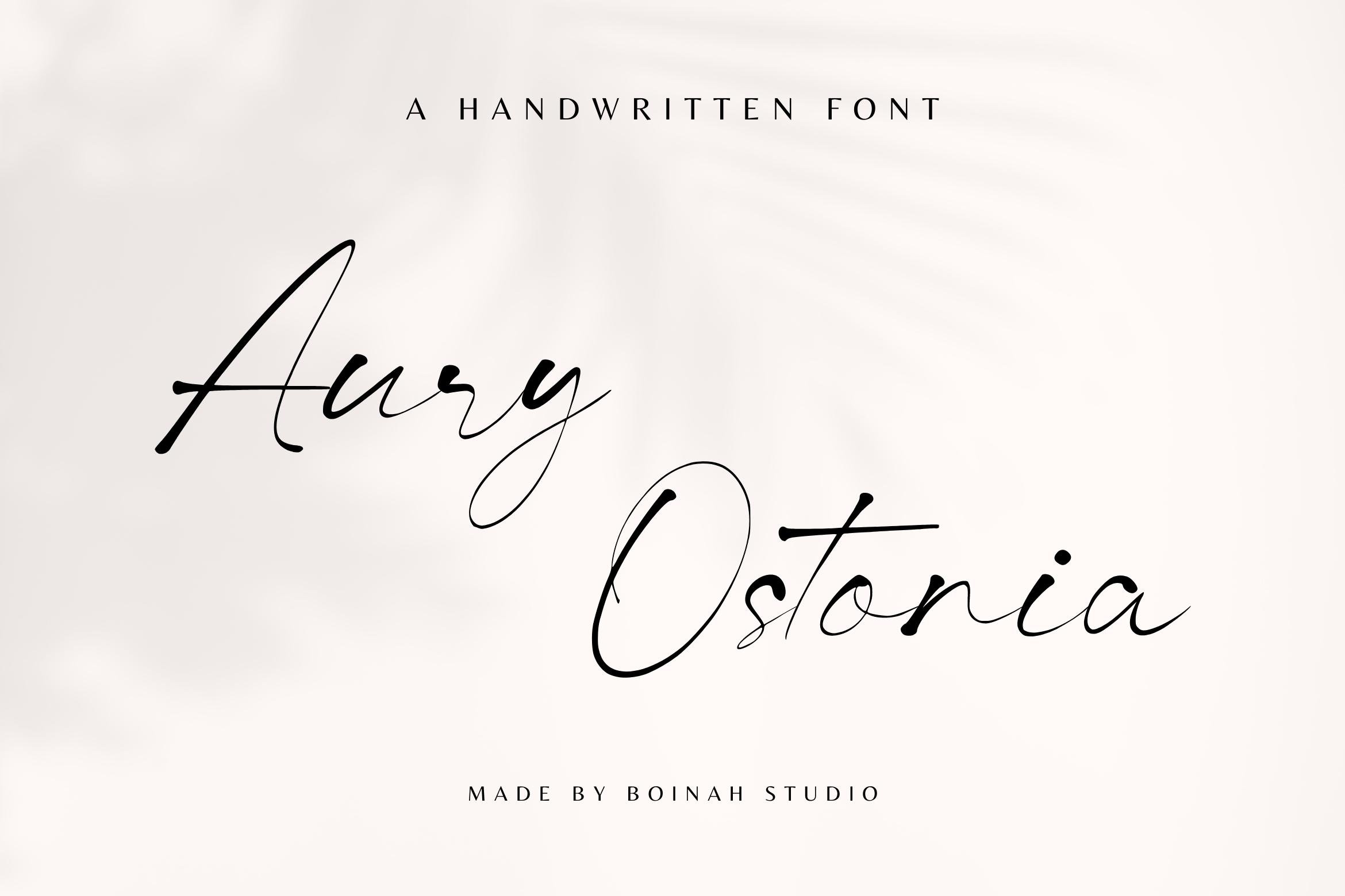 A handwritten font with the name of an artist.