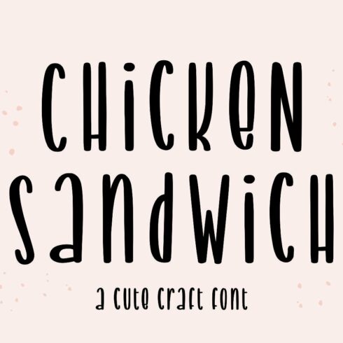 ChickeN SandWich cover image.