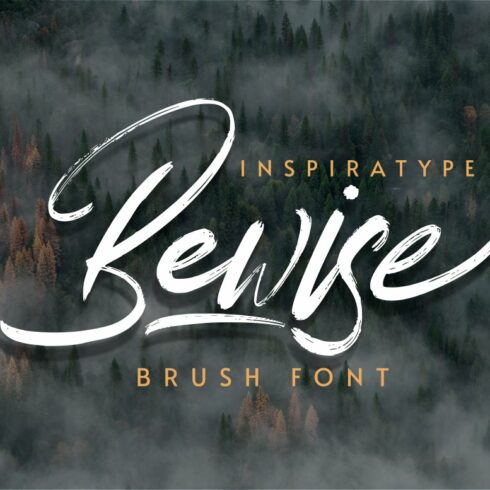 Bewise - Script Brush Font cover image.