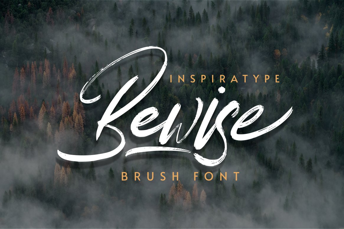 Bewise - Script Brush Font cover image.