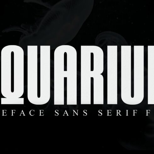 AQUARIUM / Sans Serif Font cover image.