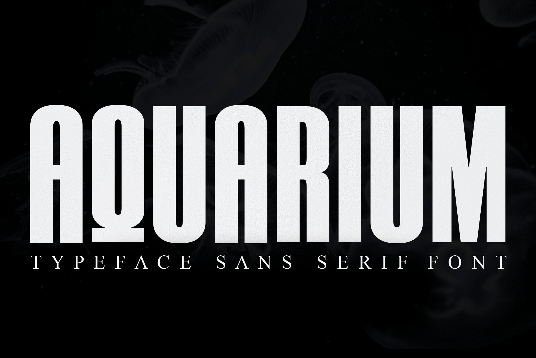 AQUARIUM / Sans Serif Font cover image.