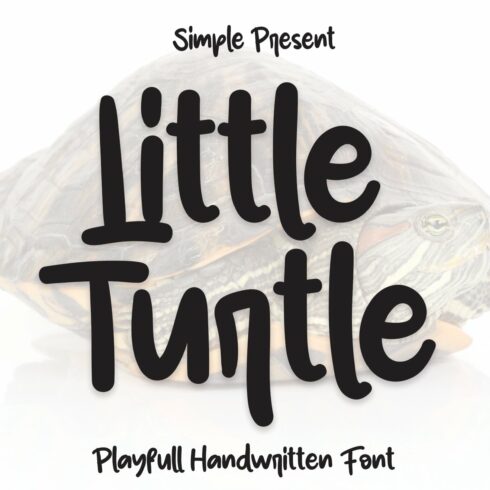 Little Turtle | Script Font cover image.