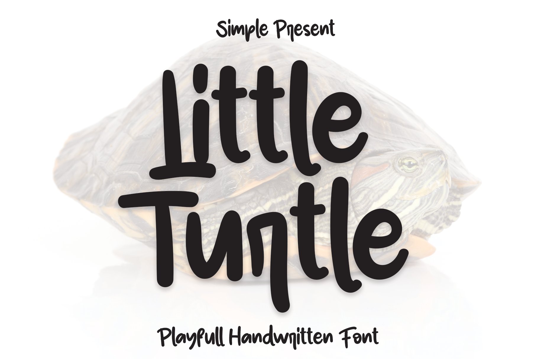 Little Turtle | Script Font cover image.