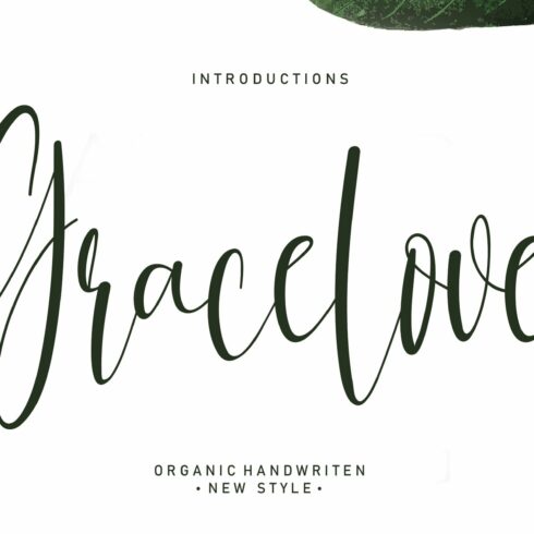 Gracelove | Script font cover image.