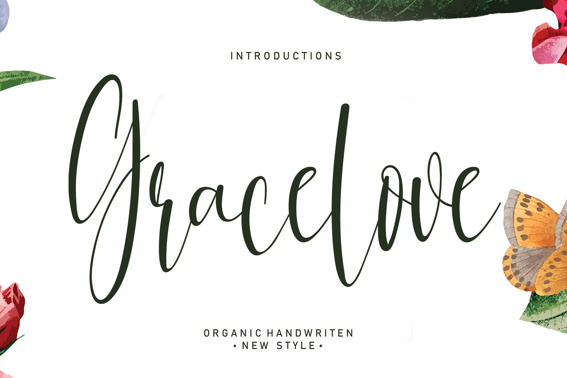 Gracelove | Script font cover image.