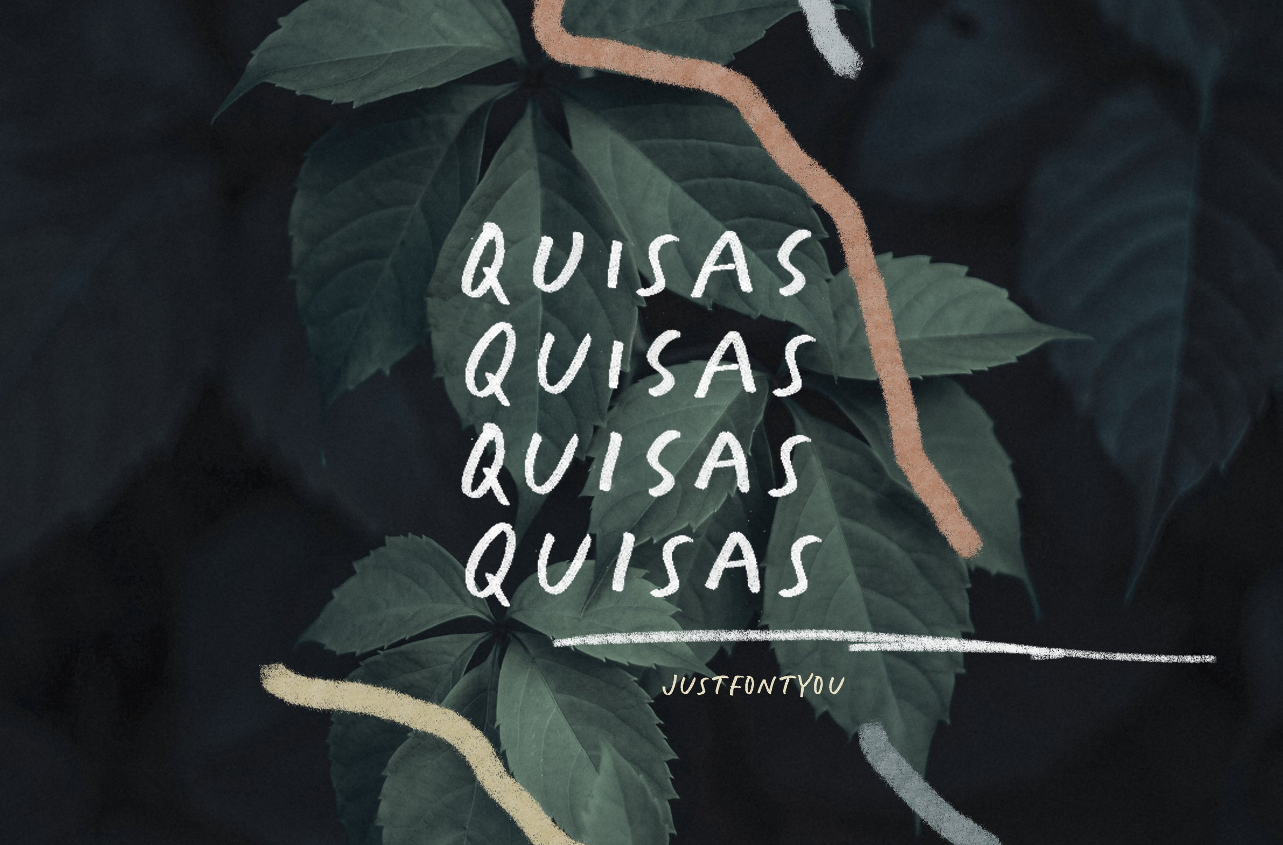 Quisas - Quirky Handwriting Fonts preview image.