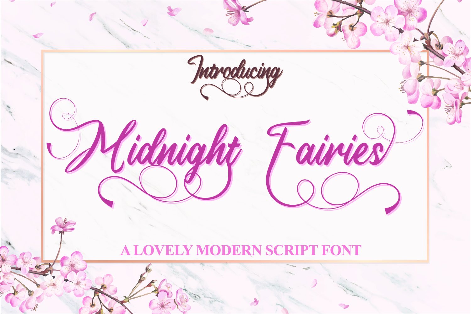 Midnight Fairies | Calligraphy Font cover image.