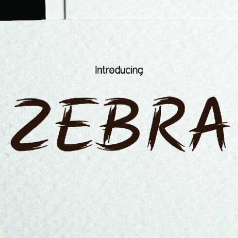 ZEBRA Brush cover image.