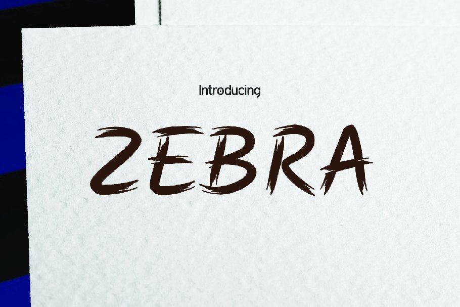 ZEBRA Brush cover image.