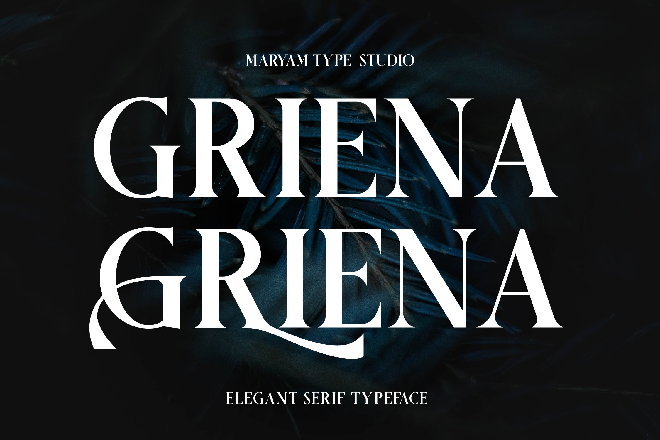 Griena Elegant Serif cover image.