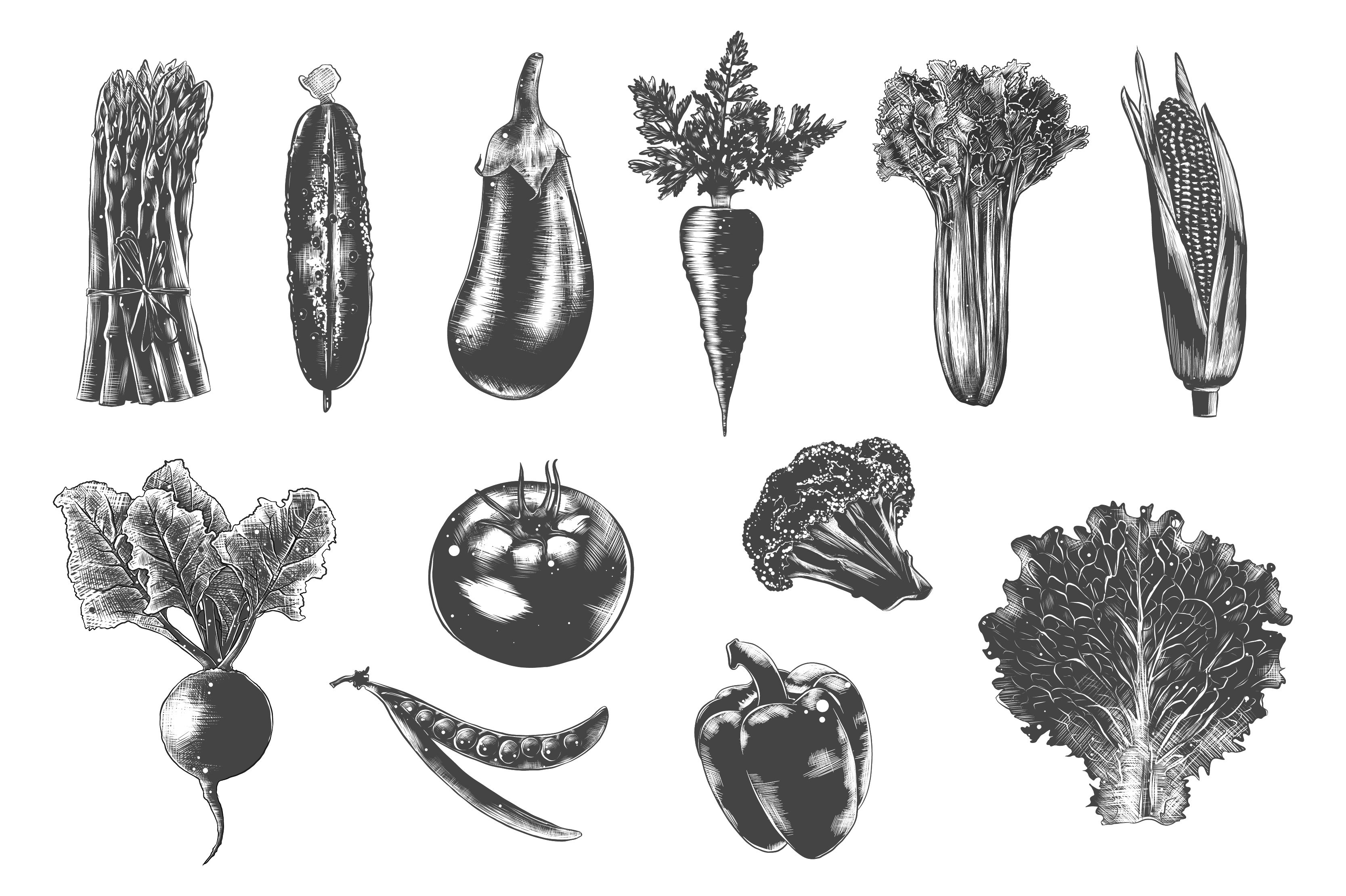 Bunch of different types of vegetables on a white background.