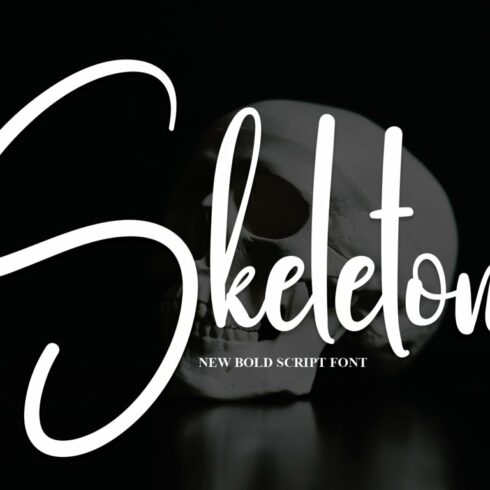 Skeleton | Script Font cover image.