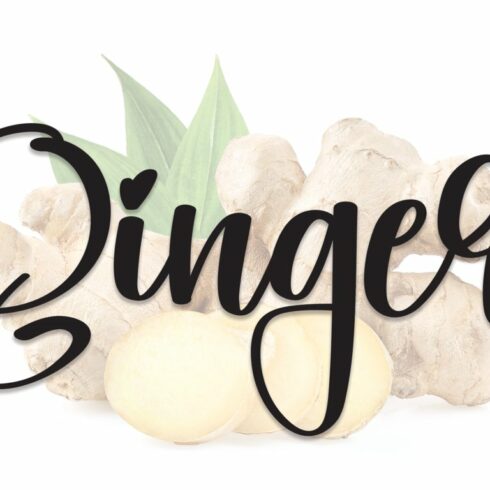 Ginger | Script Font cover image.