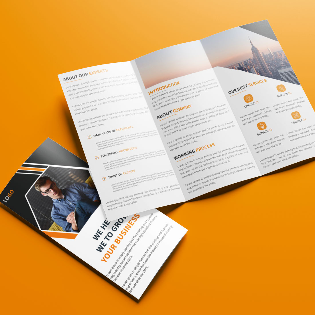 Corporate trifold brochure business template cover image.