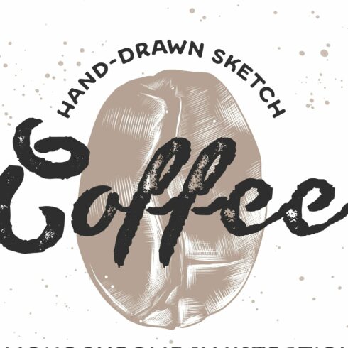 A hand drawn sketch of a coffee bean.