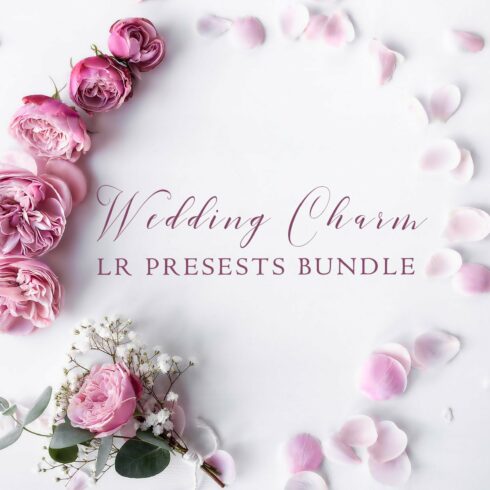 500+ Wedding Charm LR Presets Bundlecover image.