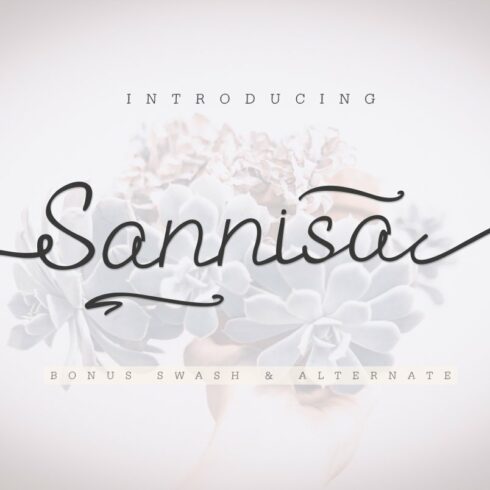 Sannisa Script + Swash (Update) cover image.