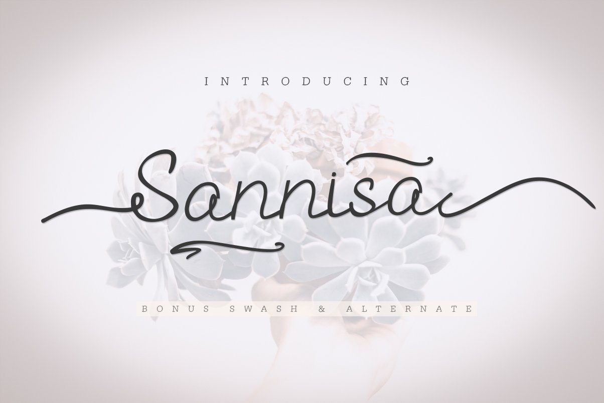 Sannisa Script + Swash (Update) cover image.