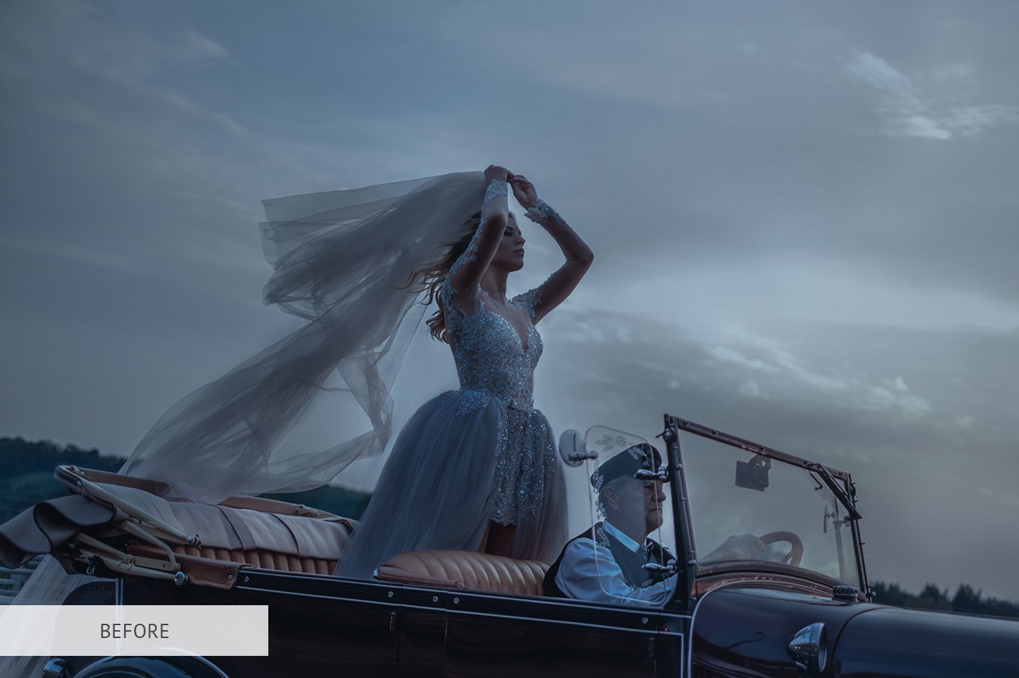 Elegant Wedding Photoshop Actionspreview image.