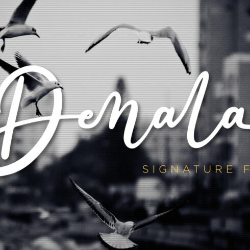 Denala - Signature Font cover image.