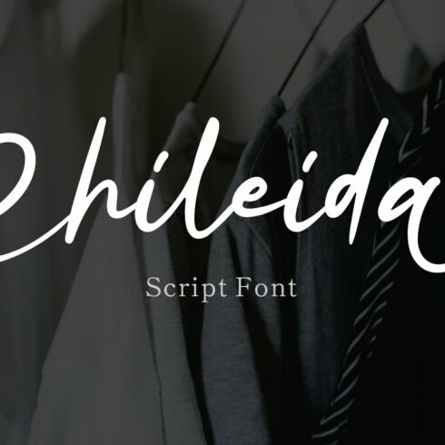 Rhiledia - Script Font cover image.