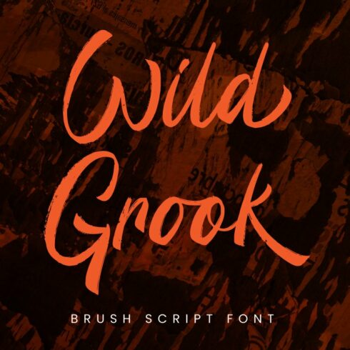 Wild Grook - Brush Script Font cover image.