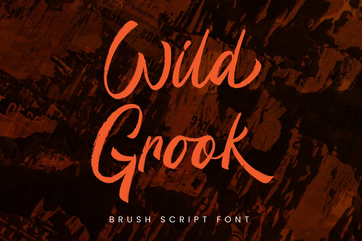 Wild Grook - Brush Script Font cover image.