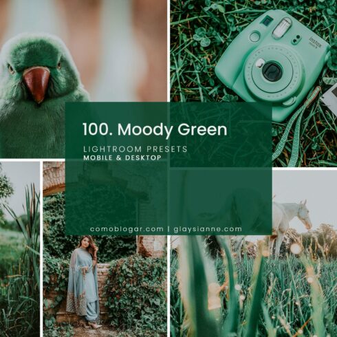 100. Moody Green Presetcover image.