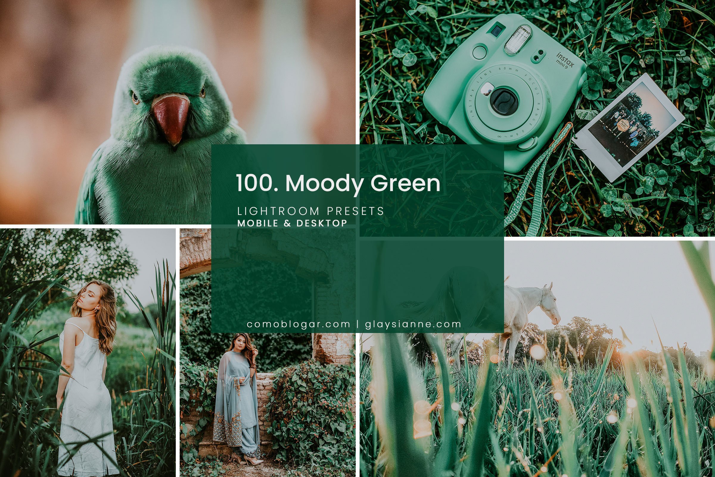 100. Moody Green Presetcover image.