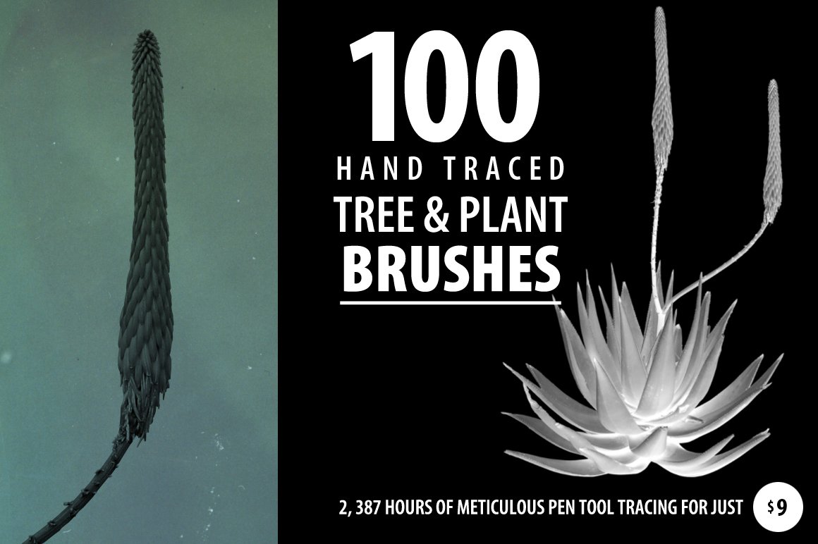 100 Tree and Plant Brushescover image.