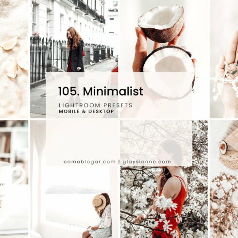 105. Minimalistcover image.