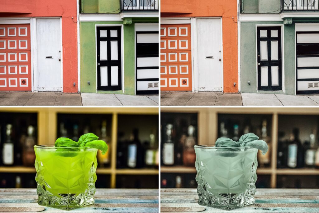 107. Fern Presets – MasterBundles