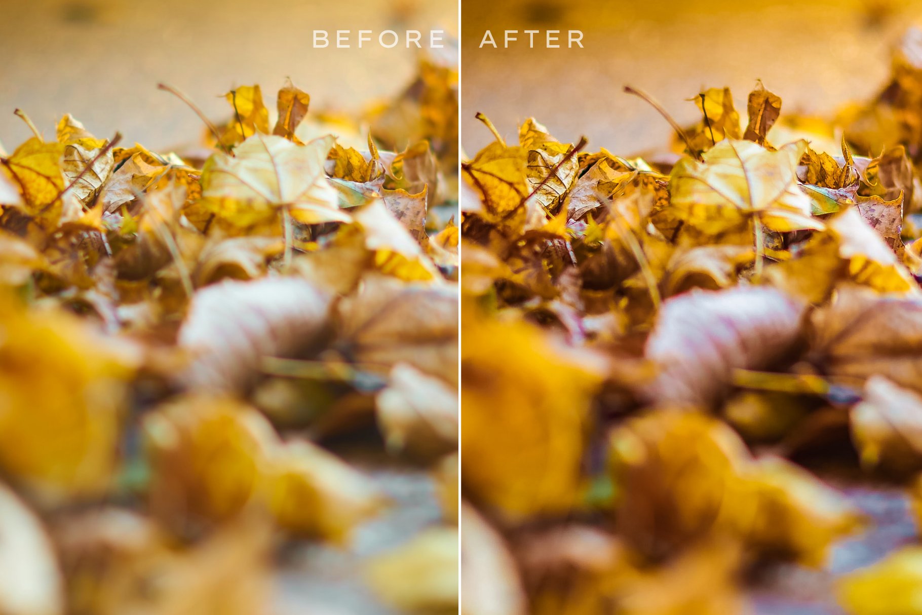 150 Autumn Lightroom Presets Bundlepreview image.