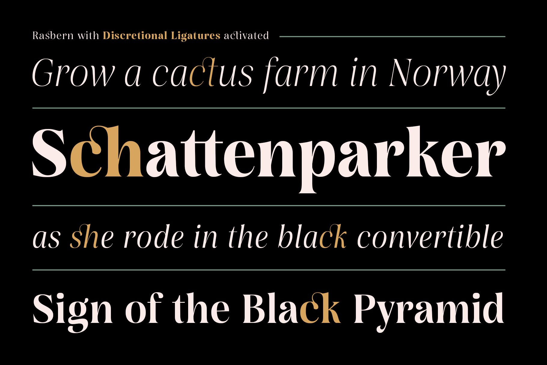 11 rasbern branding display serif font 64