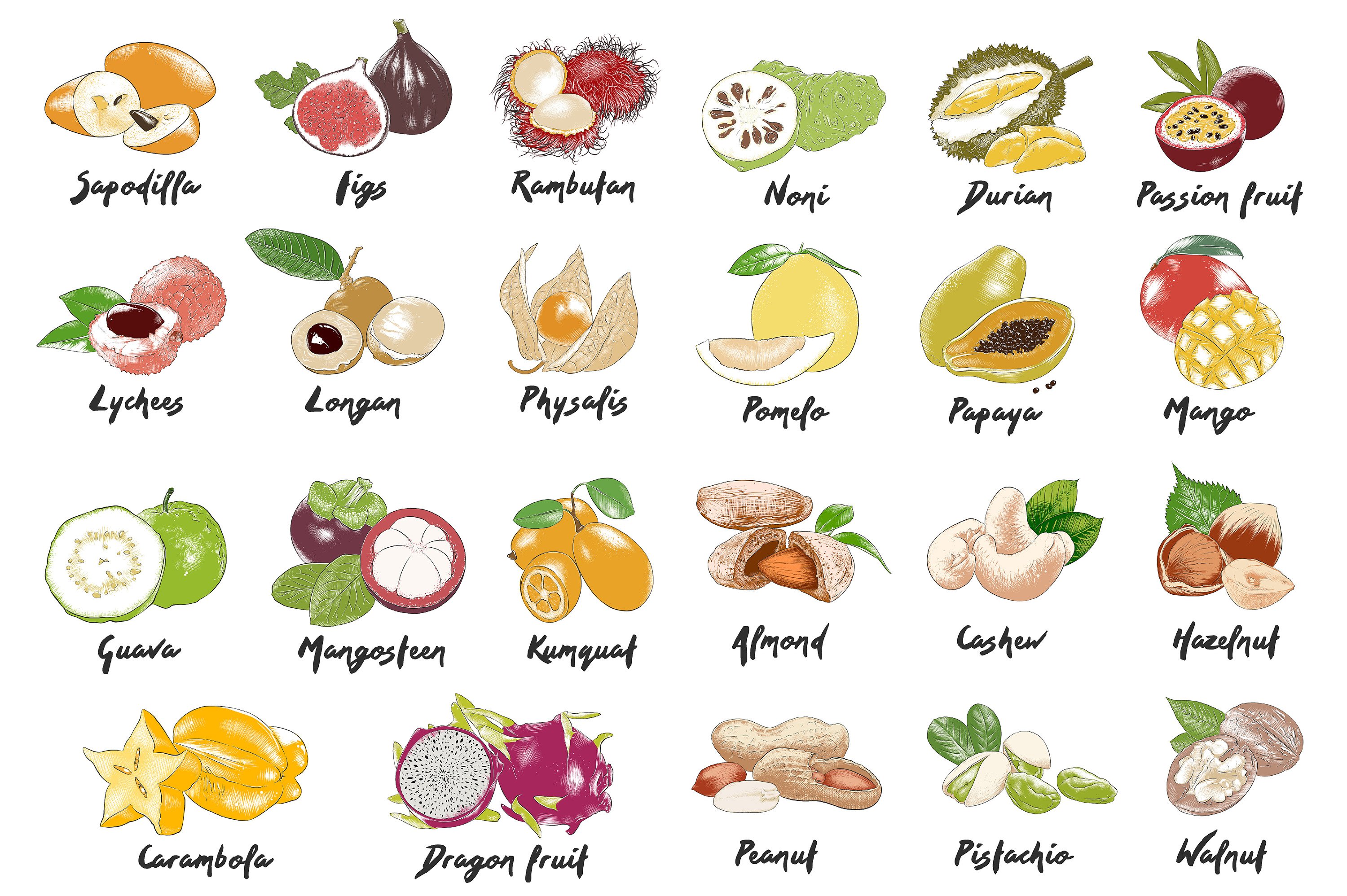 Bunch of different types of fruits on a white background.