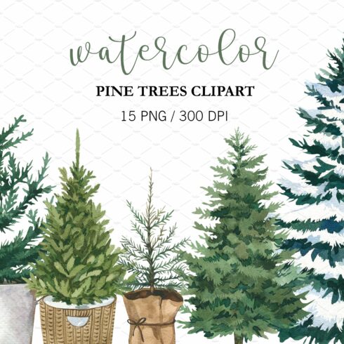Watercolor Christmas Pine Tree PNG cover image.