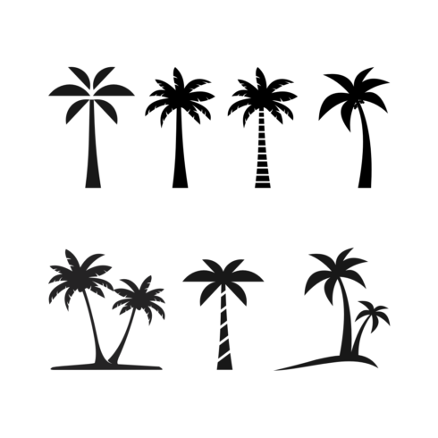 palm tree logo design vector cover image.