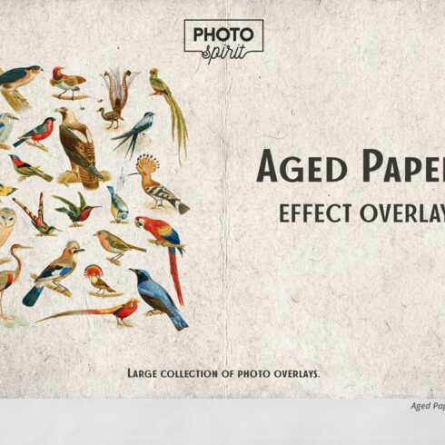 Aged Paper Effect Overlayscover image.