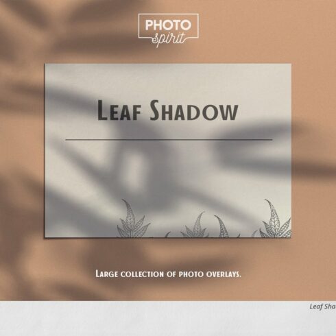 Leaf Shadow Overlayscover image.