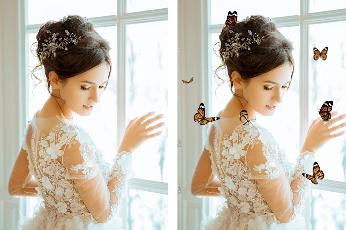 12 butterflies photography overlays 205