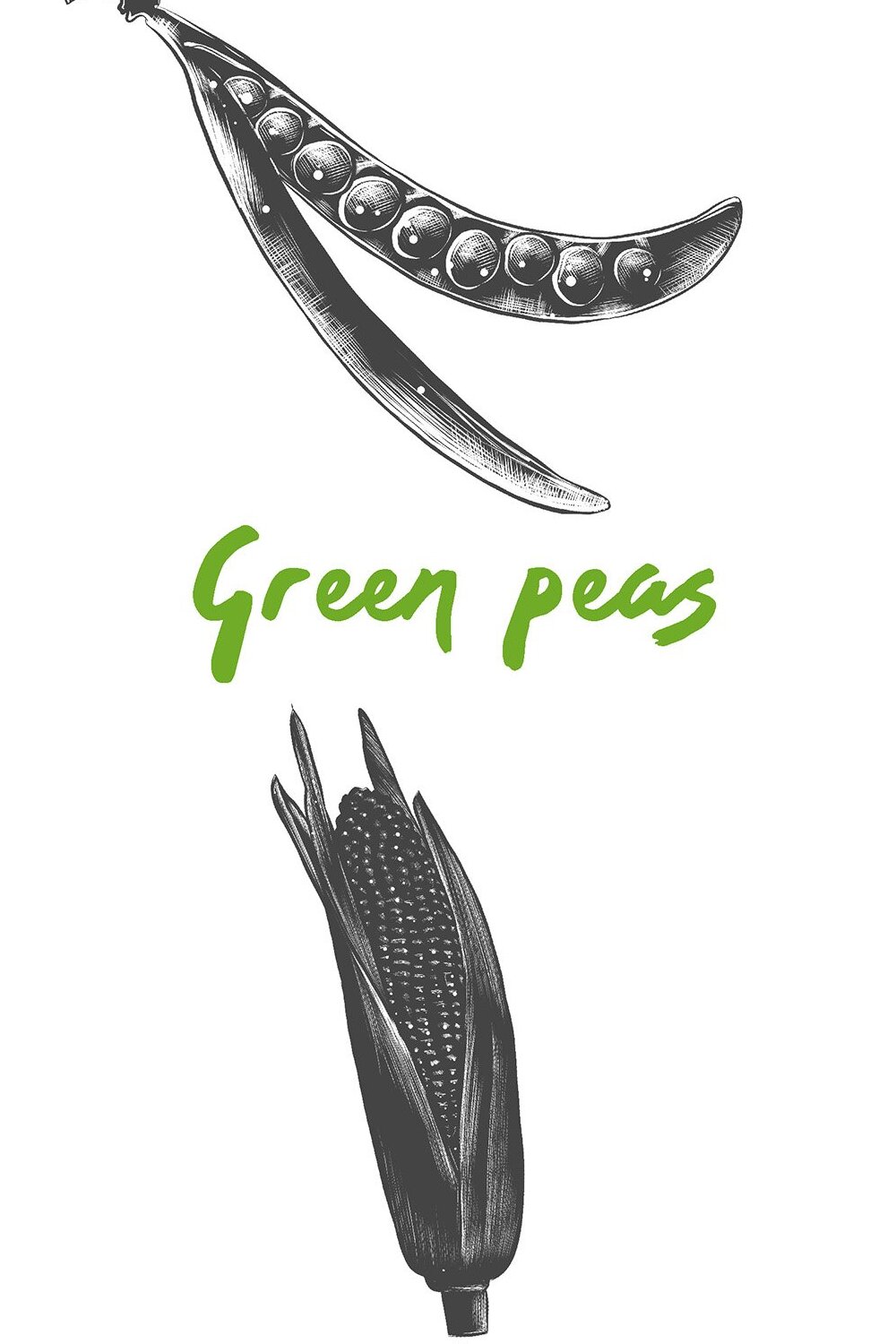 Drawing of a green pea and a black and white image of a corn co.