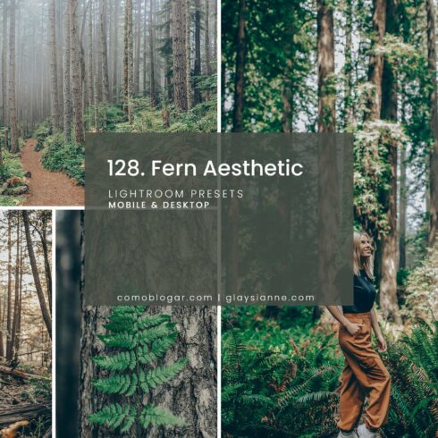 128. Fern Aestheticcover image.