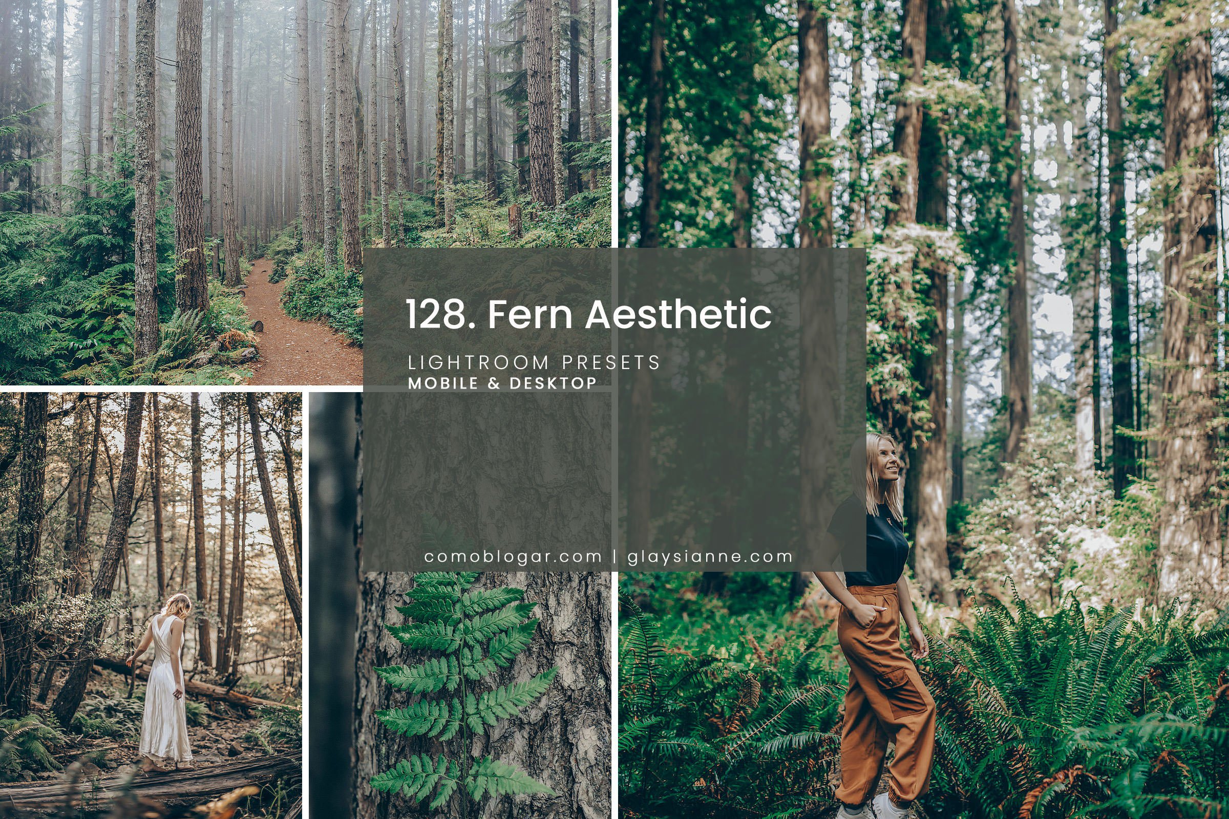 128. Fern Aestheticcover image.