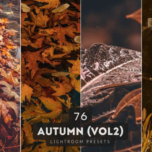 Autumn Lightroom Presets Bundle V2cover image.