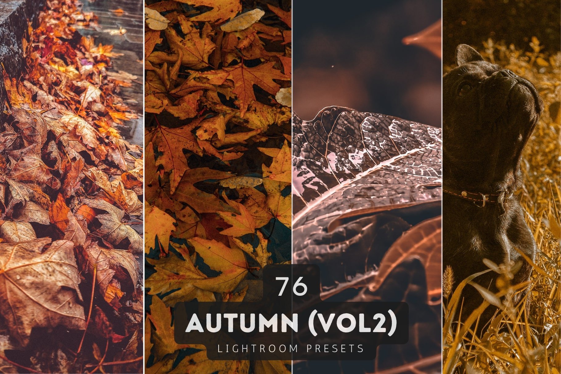 Autumn Lightroom Presets Bundle V2cover image.