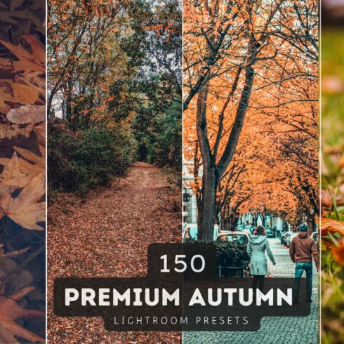 150 Autumn Lightroom Presets Bundlecover image.