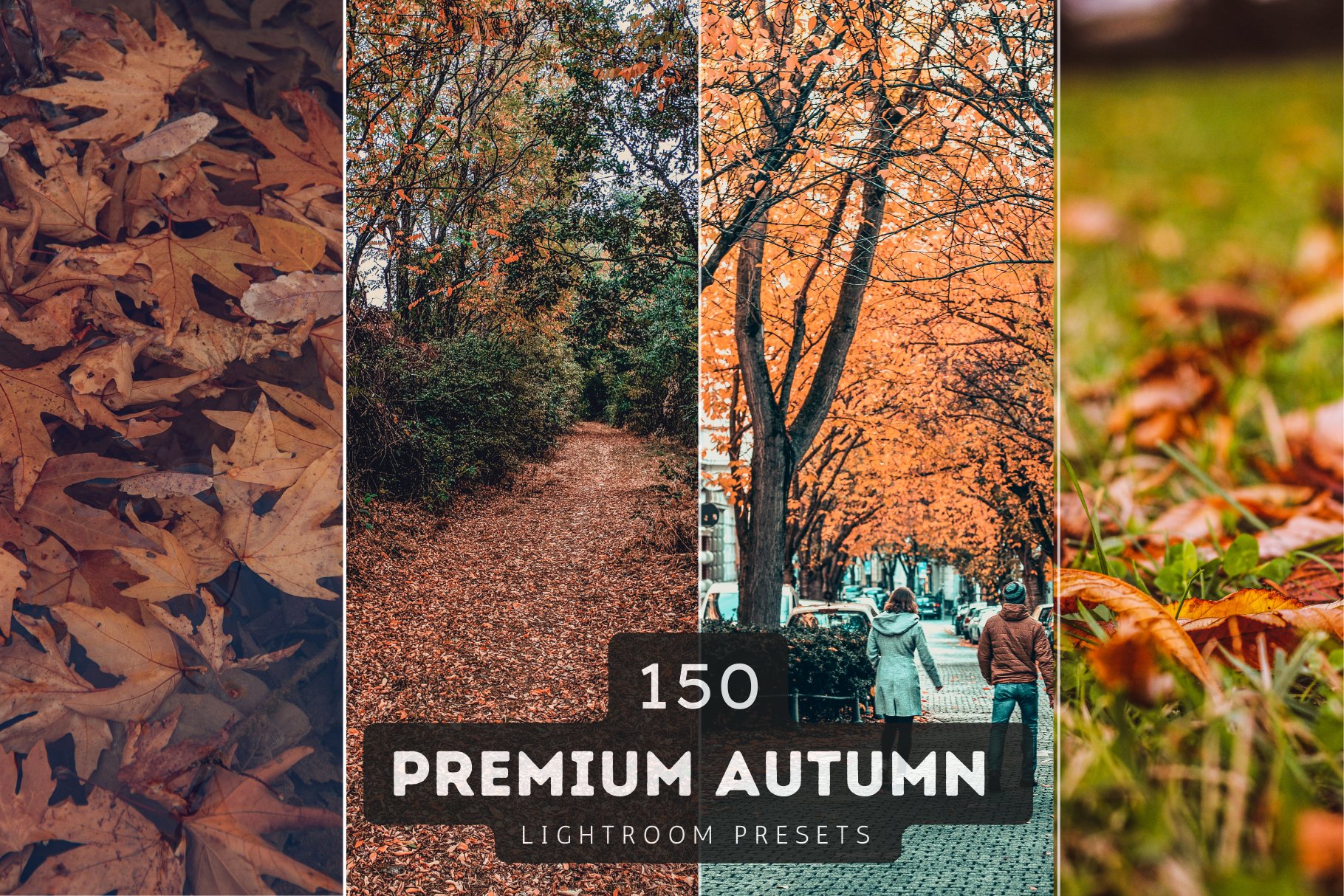 150 Autumn Lightroom Presets Bundlecover image.