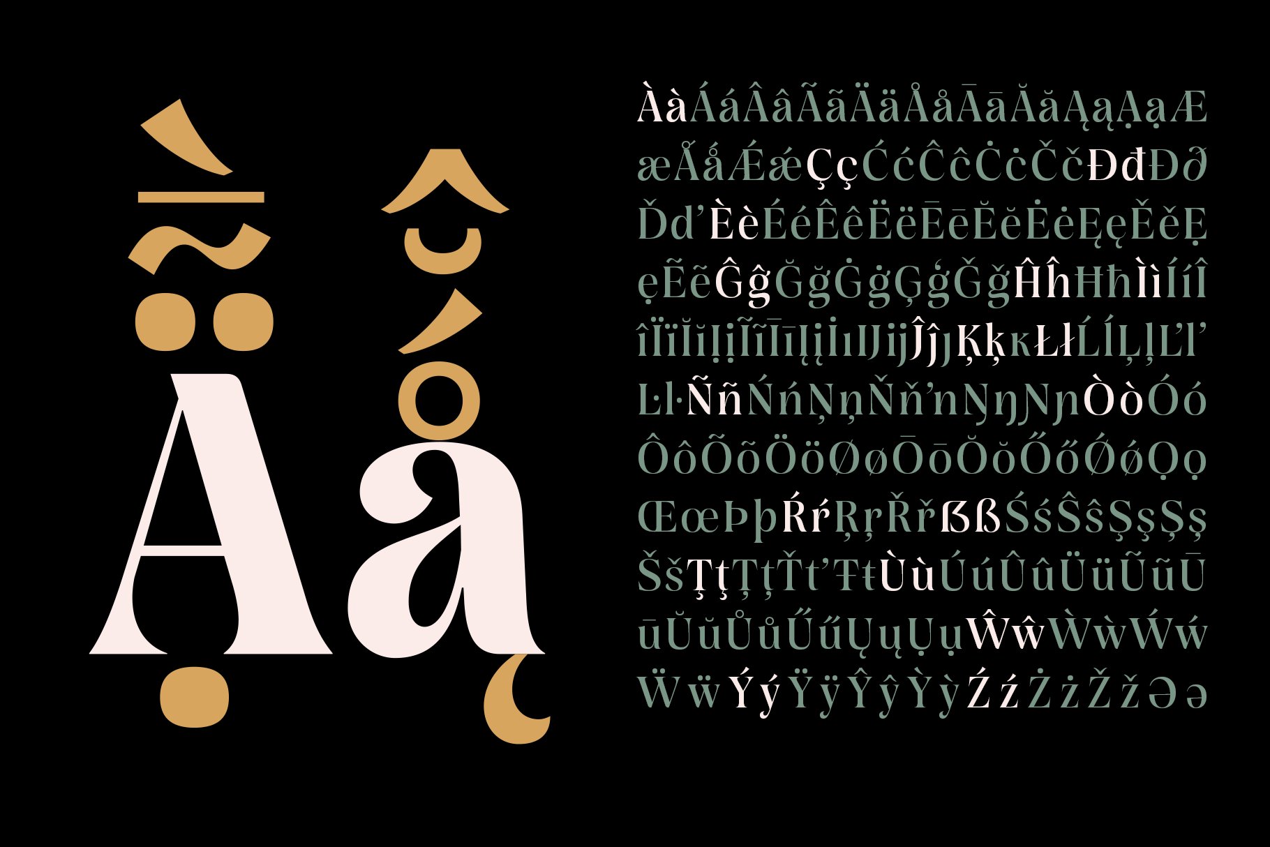 12b rasbern branding display serif font multilingual 538