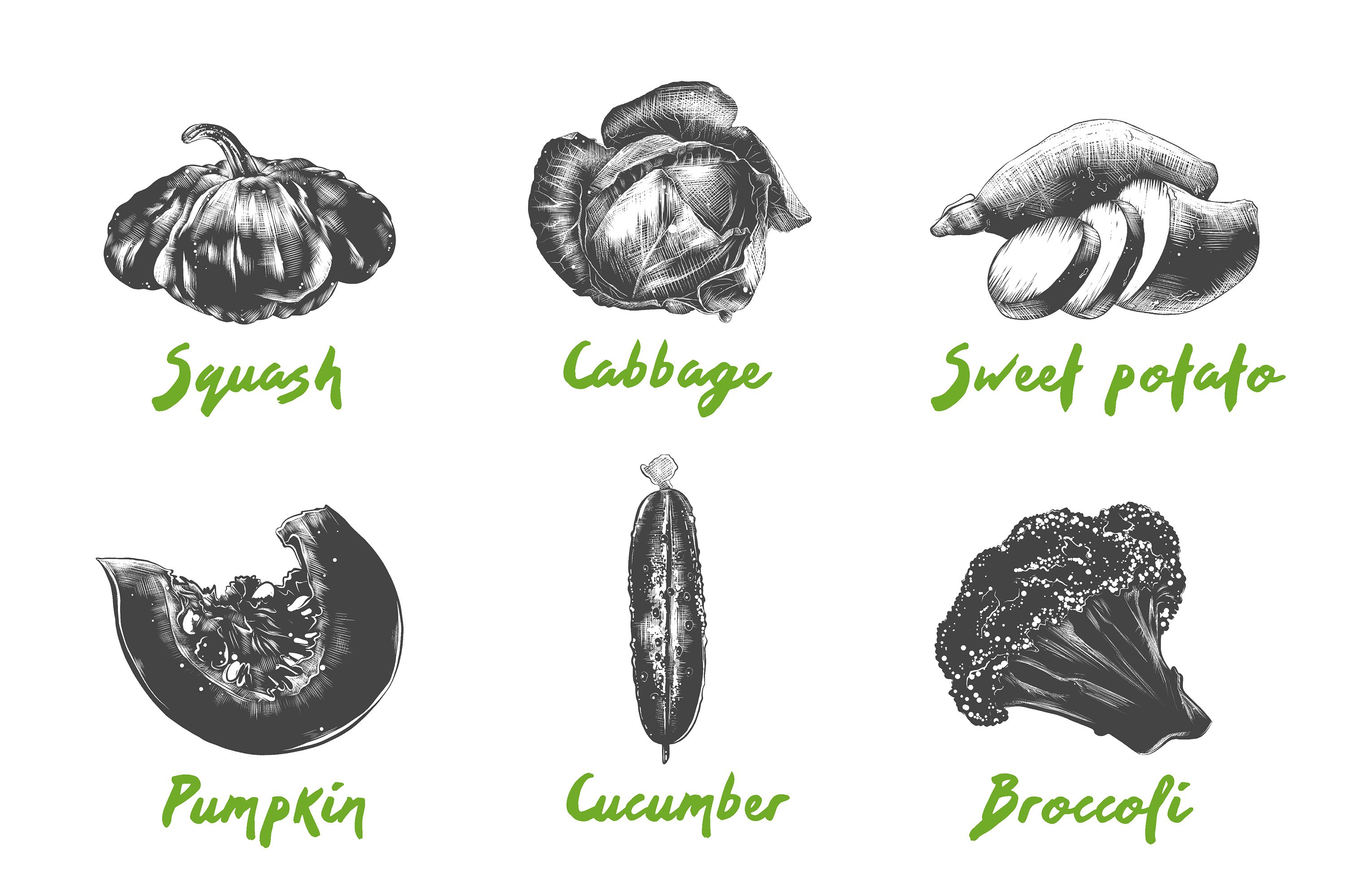 Drawing of different types of vegetables.